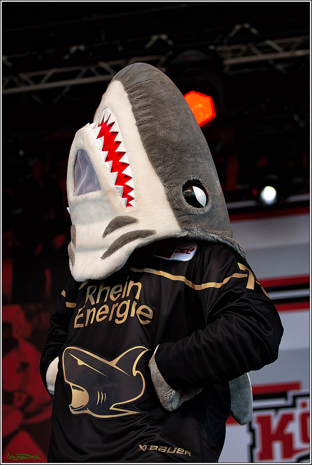 PENNY DEL;  Koelner Haie offenes Training; Koeln, 12.08.2022